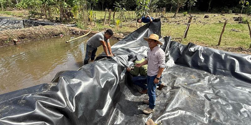 Revestimiento de geomembrana fortalece estanques para cultivo de tilapia