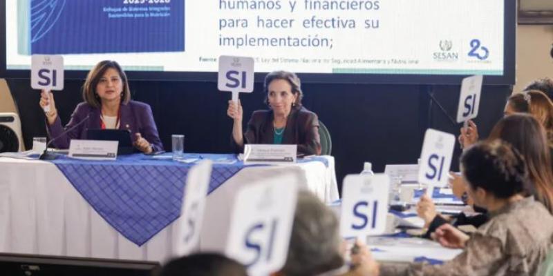 CONASAN aprueba el Plan de la Lucha contra la Malnutrición 2025-2028
