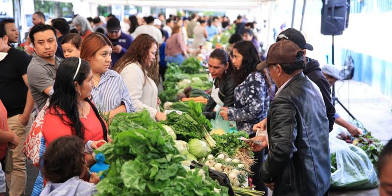¿Qué podrá encontrar en la última Feria del Agricultor del año?