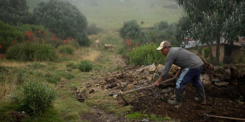 Bajas temperaturas podrían afectar a 108 municipios durante el fin de semana