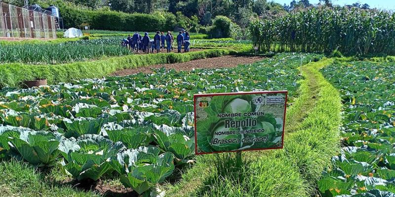 Escuelas de Formación Agrícola atendieron a más de un millar de jóvenes en 2025
