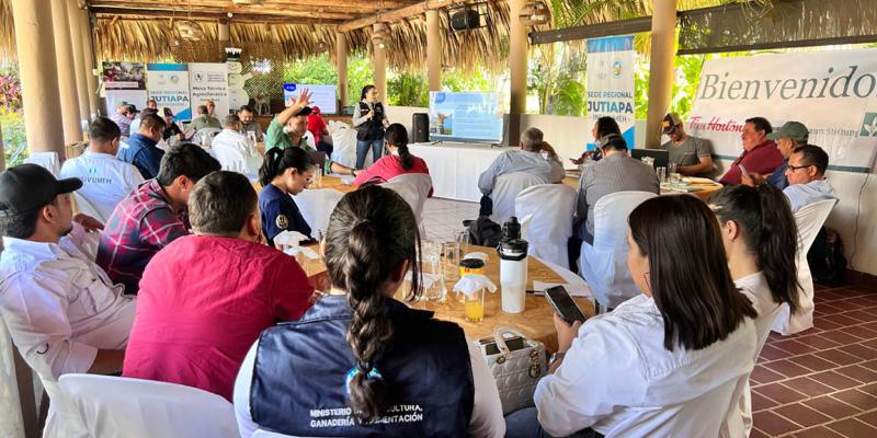 Fortaleciendo la generación y uso de información agrícola climática