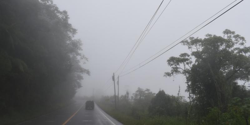 Neblina