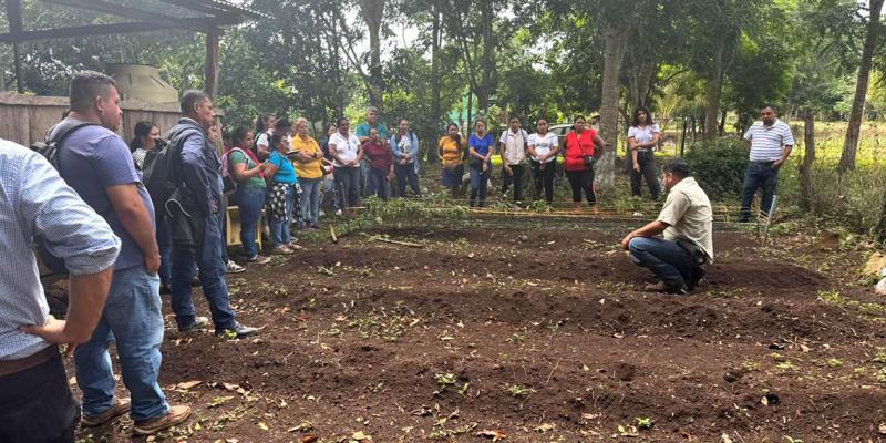 Capacitadas más de 95 mil personas en producción de alimentos