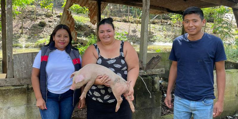 Fortalecen porcinocultura familiar en Petén
