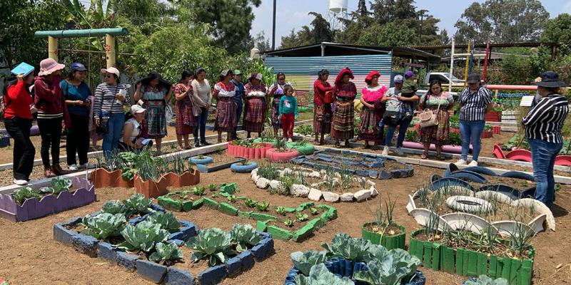 Granja Integral Agropecuaria impulsa aprendizaje y producción sostenible