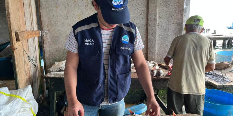 Monitoreo pesquero en Livingston fortalecerá manejo sostenible de especies