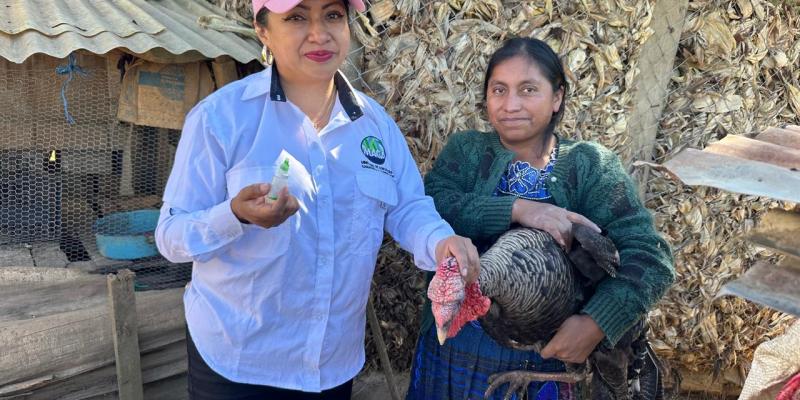 Protegen patrimonio avícola de productoras con jornada de vacunación