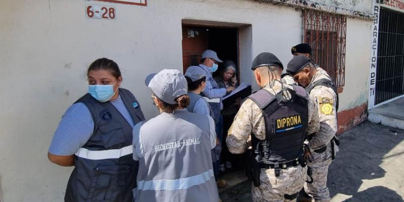 Sanciones por maltrato y crueldad animal en Guatemala 2026