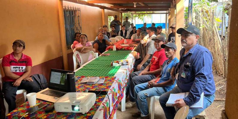 Apuestan por la tilapia para mejorar su alimentación y generar ingresos