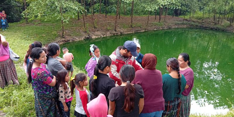 Brindan asistencia para mejorar el cultivo de tilapia en Sayaxché