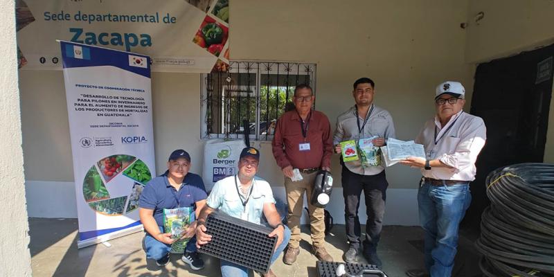 Cooperación coreana fortalece producción de pilones en Zacapa