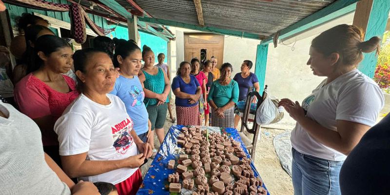 En Petén promueven propiedades medicinales del chichipín o chichipince