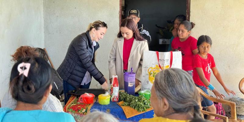 Familias de Conguaco innovan con tortillas nutritivas de plantas nativas