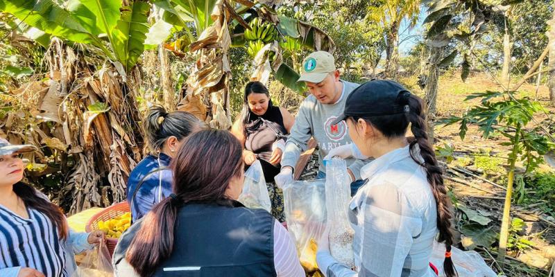 Impulsan el cultivo de hongo ostra en comunidades de Baja Verapaz