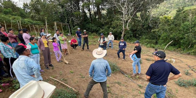 Impulsan el establecimiento de huertos para promover la disponibilidad de alimentos