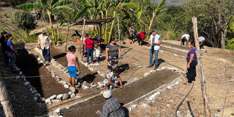 Impulsan huertos comunitarios para producir sus propios alimentos