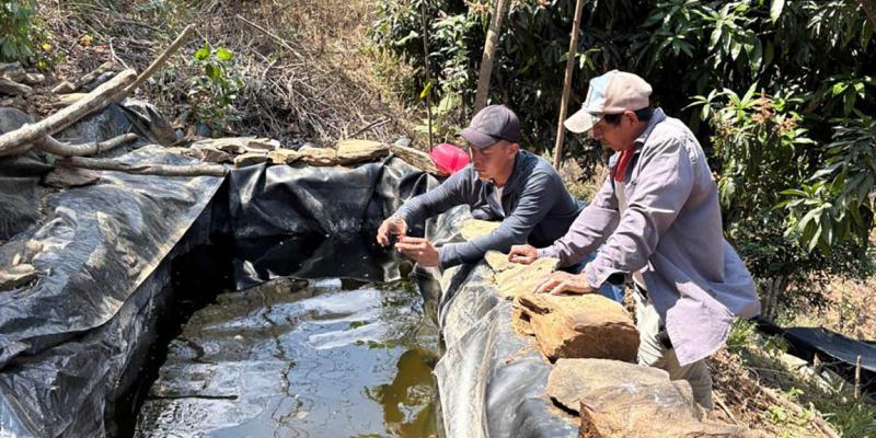 Impulsan la producción acuícola y hortícola en Huité