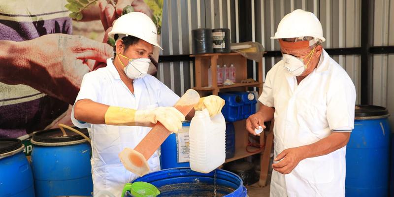 Uso de abonos orgánicos fortalece la producción agrícola familiar