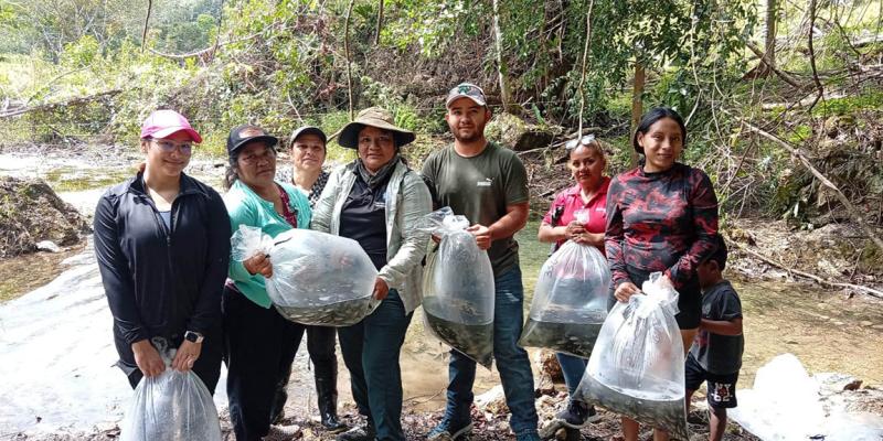 Entrega de más de 28 mil alevines fortalece seguridad alimentaria en Petén