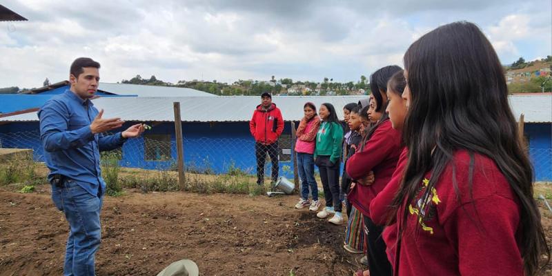 Estudiantes cultivan su propio alimento