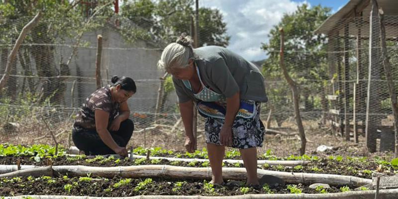 Promueven producción de hortalizas con huerto comunitario