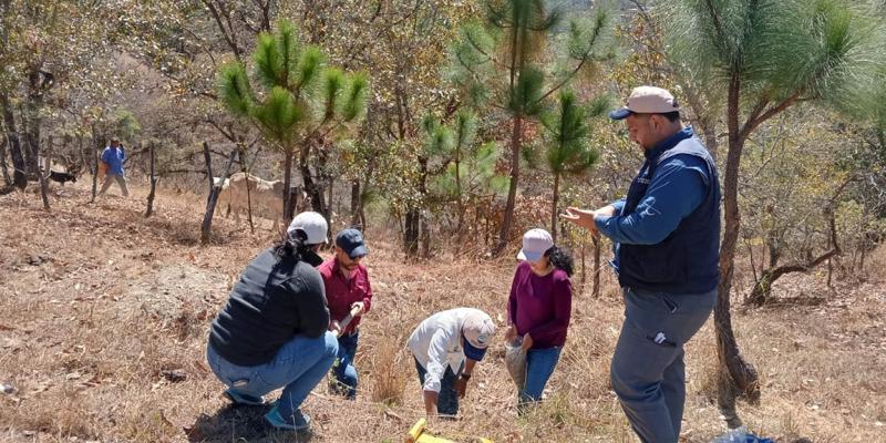 Toman muestras de suelo en Huehuetenango para fortalecer el mapa de fertilidad