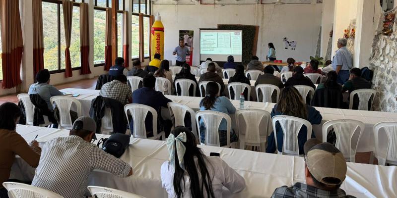 Capacitan a productores en Sololá para prevenir y controlar el Gusano Barrenador 