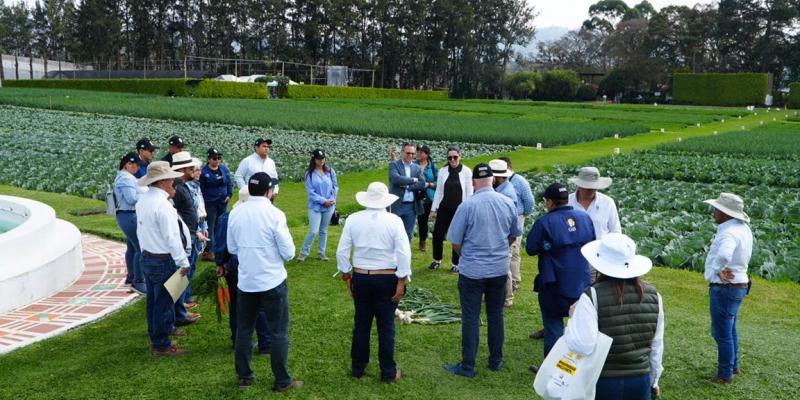 Destacan el valor de proteger variedades vegetales para impulsar la agricultura nacional