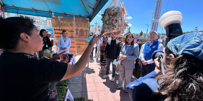 Promueven la agricultura y nutrición en jornada "Volvamos al Parque"