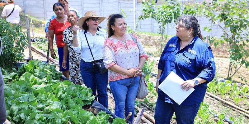 Supervisan producción de hortalizas en huerto municipal de Esquipulas