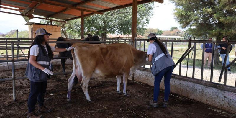 Verifican bienestar de animales en granja experimental de la USAC