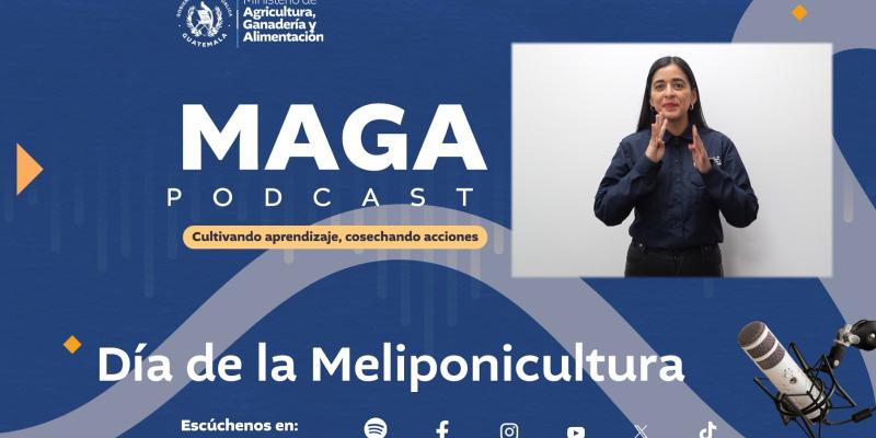 Reviva nuestro episodio sobre el Día de la Meliponicultura en el MAGA Podcast
