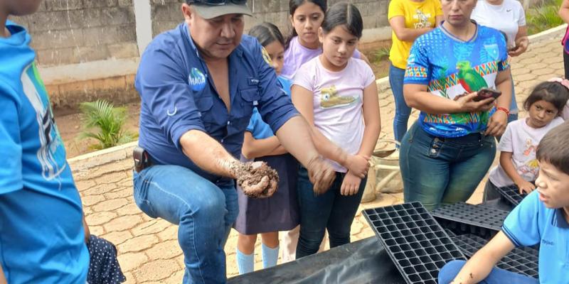 Estudiantes se involucran en la siembra de pilones para incentivar la agricultura escolar 