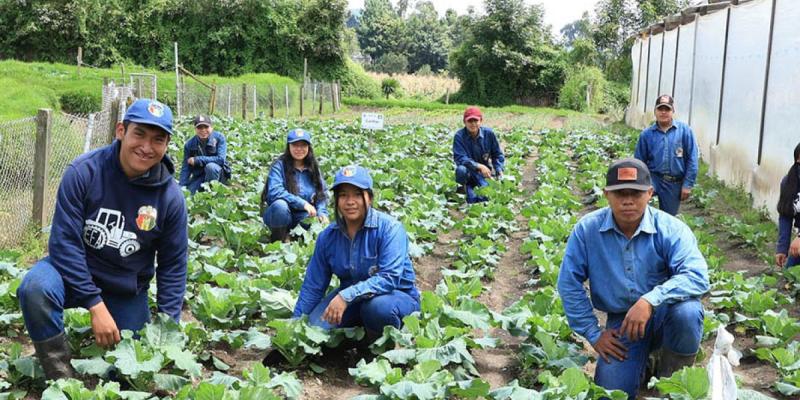 Mañana será el gran día de la Feria Agropecuaria