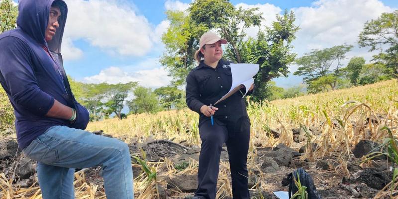 Extensionistas acompañan a productores de Ipala con monitoreos y medidas de resiliencia agrícola