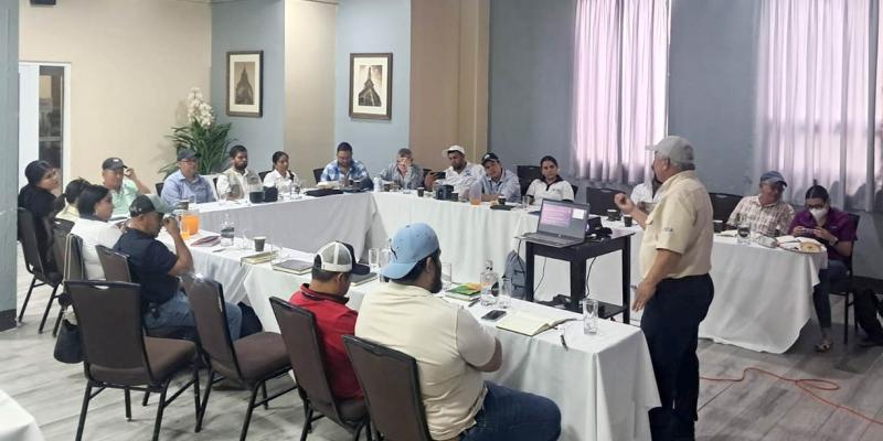 Fortalecen capacidades técnicas para el monitoreo digital de parcelas de maíz