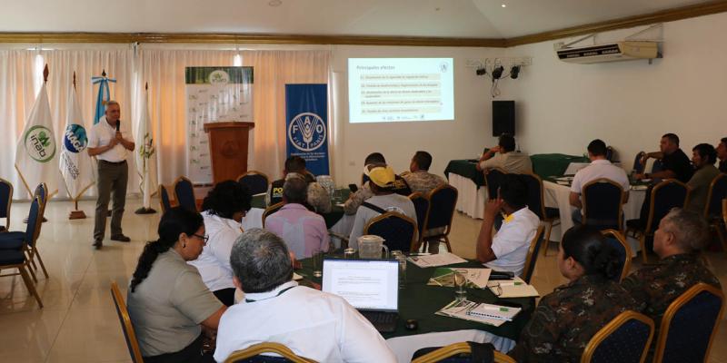 Impulsan actualización de la Política Forestal de Guatemala ante los nuevos desafíos ambientales