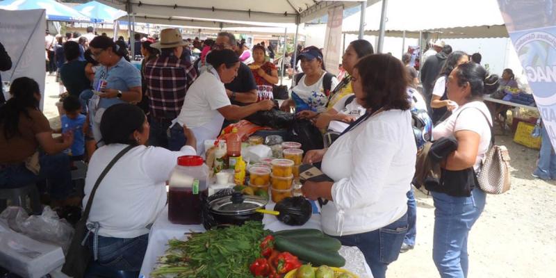 El sabor del campo llega a Tactic, Alta Verapaz