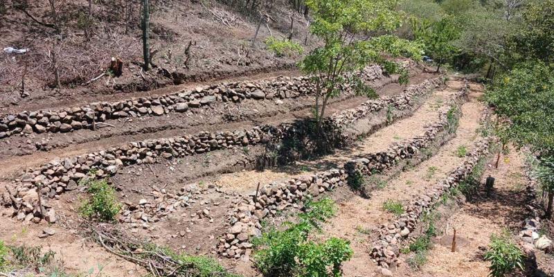 Impulsan la conservación de suelos y huertos orgánicos en Zacapa
