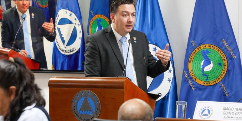 Director del Instituto Guatemalteco de Migración en PARLACEN