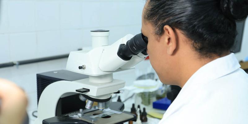 Realizados más de 5 mil diagnósticos fitosanitarios en lo que va del año