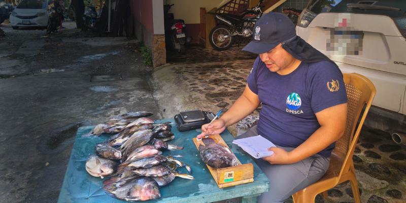 Sexta pesca científica aporta datos sobre especies capturadas en Río Dulce