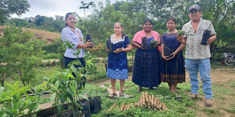 La diversificación de cultivos fortalece la seguridad alimentaria en San Luis, Petén