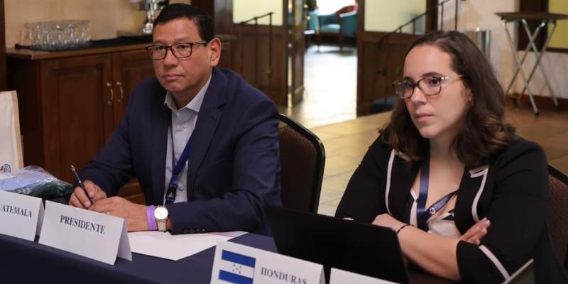 Mesas técnicas del OIRSA analizan medidas para prevenir y atender riesgos del sector agropecuario regional