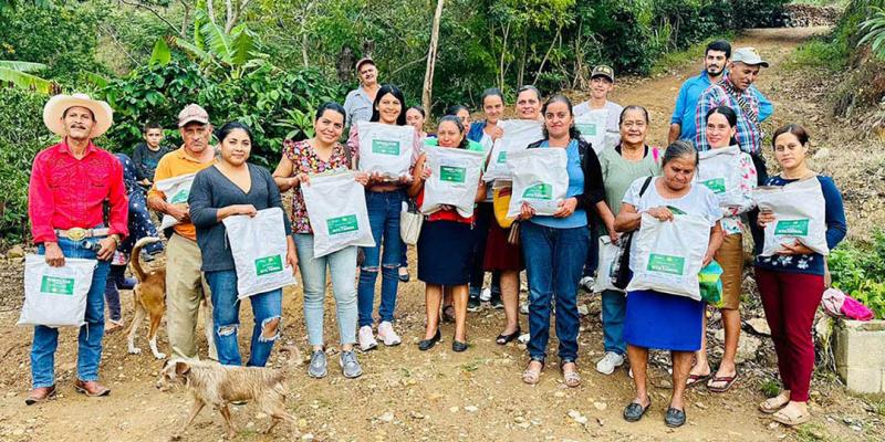 Establecen parcelas demostrativas de frijol biofortificado ICTA Tawal, en Santa Cruz El Chol