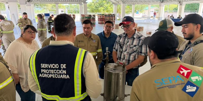 Agricultores de Petén aprenden estrategias de mercado y comercialización